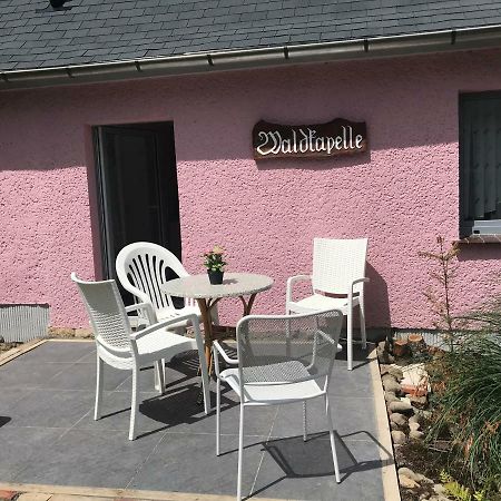 Ferienapartments Gohrisch Villa Schoenblick Екстер'єр фото
