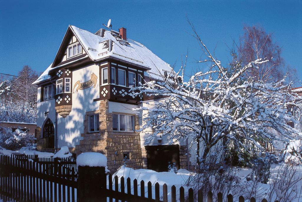 Ferienapartments Gohrisch Villa Schoenblick Екстер'єр фото