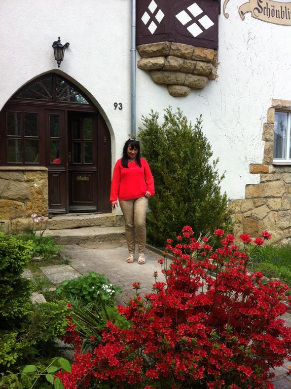Ferienapartments Gohrisch Villa Schoenblick Екстер'єр фото