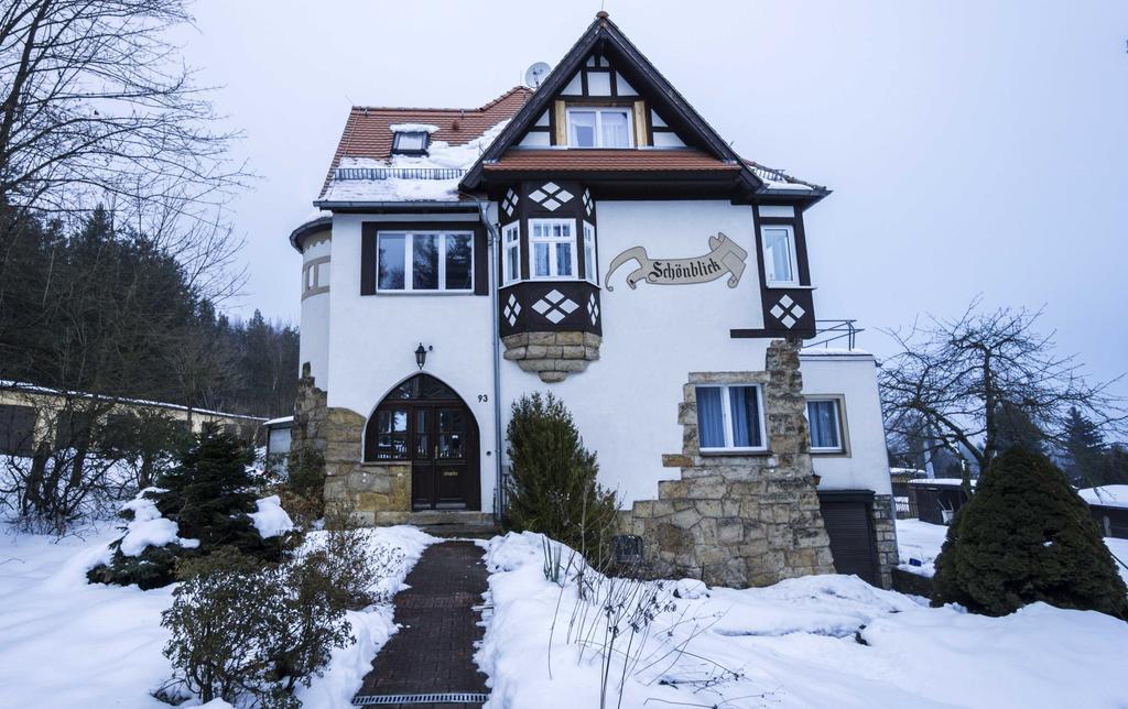 Ferienapartments Gohrisch Villa Schoenblick Екстер'єр фото