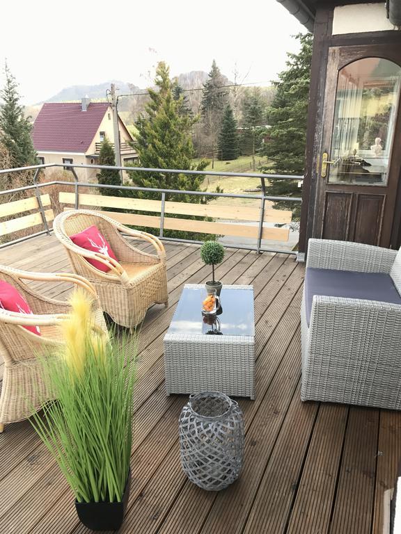Ferienapartments Gohrisch Villa Schoenblick Екстер'єр фото
