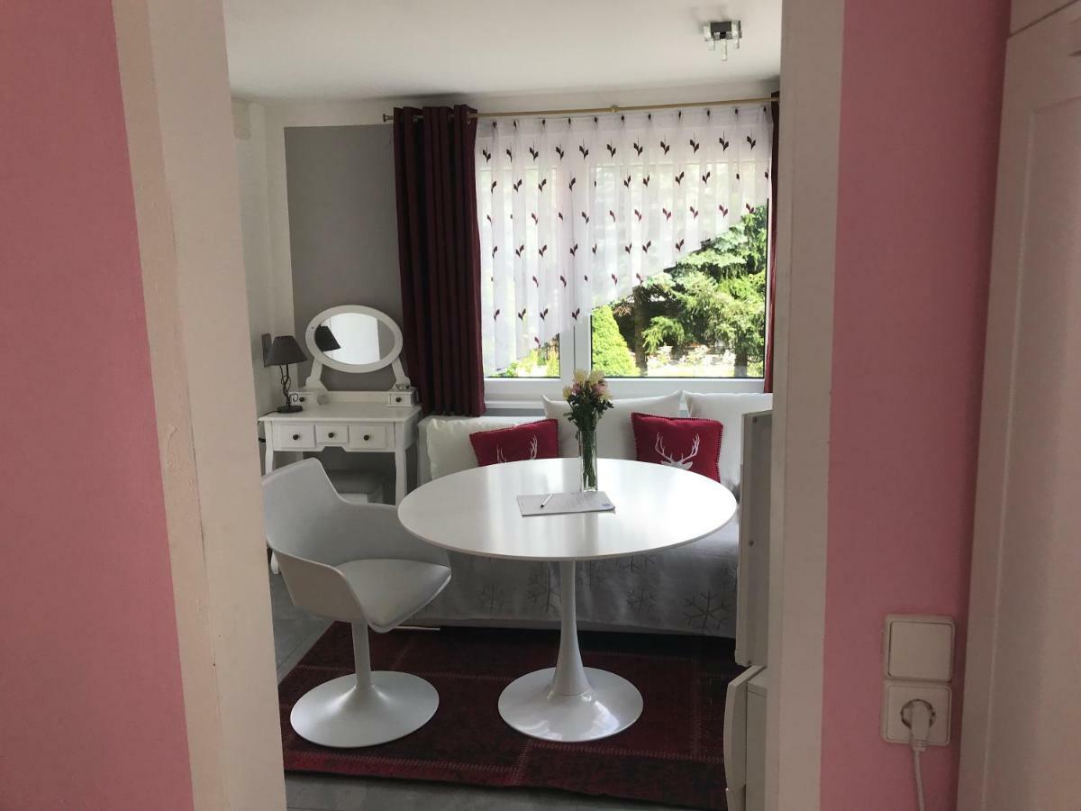 Ferienapartments Gohrisch Villa Schoenblick Екстер'єр фото